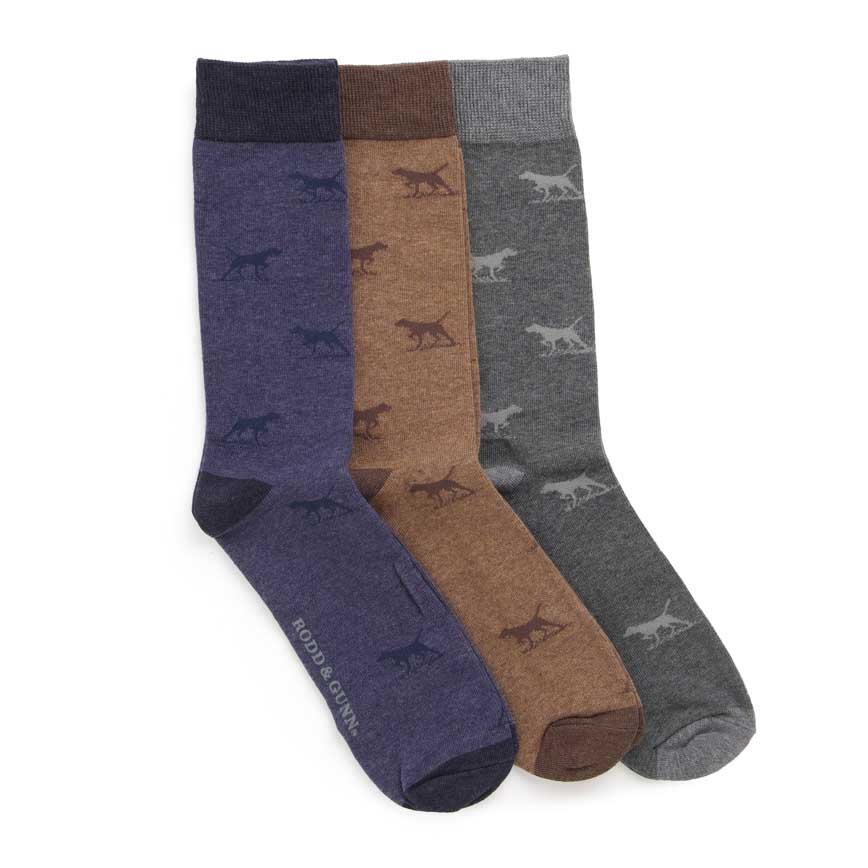 Rodd & Gunn Dogs-A-Plenty Three Pack Socks